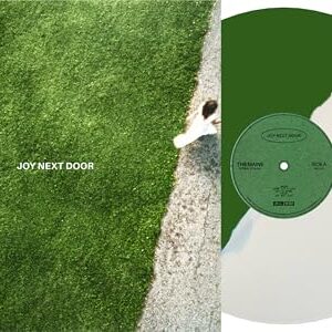Joy Next Door - The Maine (Discos de Vinil)