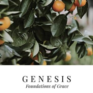 Genesis Vol. 1: Foundations of Grace - The Daily Grace Co. (Discos de Vinil)