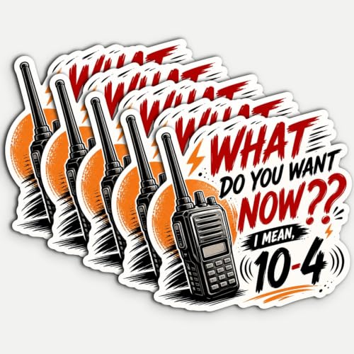 Adesivo de vinil à prova d'água What Do You Want Now I Mean 10-4 7,6 cm, decalque de vinil à prova d'água para garrafa de água, laptop, carro, telefone, livro, copos (Discos de Vinil)