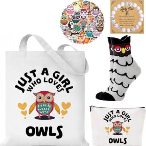 Conjunto de 5 peças de presente para amantes de coruja para mulheres - inclui sacola de lona, bolsa de maquiagem, 50 adesivos de vinil à prova d'água, pulseira de coruja com contas e meias inovadoras (Discos de Vinil)