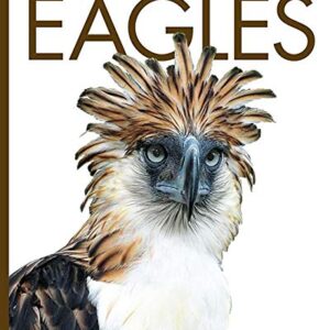 Eagles - Riggs, Kate (Discos de Vinil)