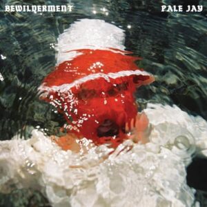 BEWILDERMENT (SEAFOAM GREEN VINYL) - Pale Jay (Discos de Vinil)