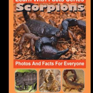 Scorpions Photos and Facts for Everyone: Animals in Nature (Learn With Facts Series) - Gaillard, Isis (Discos de Vinil)