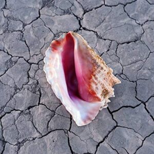 Wonderful Wonderful (Deluxe Edt.) (CDs)