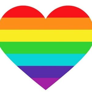 Adesivo de vinil Pride Heart Rainbow - Adesivo de para-choque colorido de 10 cm para carro interno ou externo, veículo, carro, caminhão, copo de bagagem, notebook, laptop, capacete (Discos de Vinil)