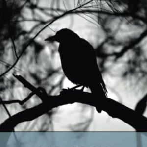 Old Crow (Esprios Classics) - Brown, Alice (Discos de Vinil)
