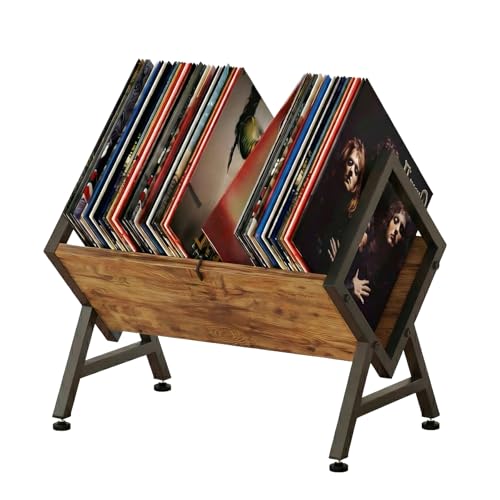 VonDream Suporte de armazenamento de discos de vinil, porta-discos que economiza espaço para álbuns de 30 cm, porta-discos de vinil para álbum organiza e protege sua coleção (Discos de Vinil)