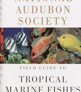 National Audubon Society Field Guide to Tropical Marine Fishes: Caribbean, Gulf of Mexico, Florida, Bahamas, Bermuda - National Audubon Society (Discos de Vinil)