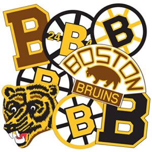 Desert Cactus Adesivo de vinil Boston Bruins Team NHL National Hockey League decalque para laptop garrafa de água livro de recortes de carro (folha vintage) (Discos de Vinil)