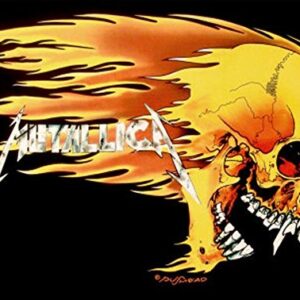 LPGI Crânio e chama - Metallica (Discos de Vinil)