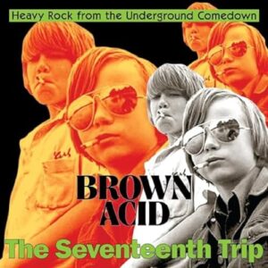 Brown Acid - The Seventeenth Trip (Various Artists) (Discos de Vinil)
