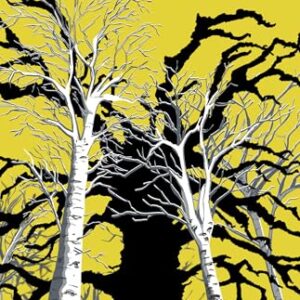 The Black Lord - Hinckley, Colin (Discos de Vinil)