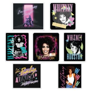 Desert Cactus Adesivo de carro Whitney Houston (T2-3) (Discos de Vinil)