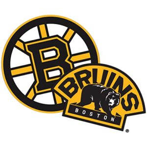 Desert Cactus Adesivo de vinil Boston Bruins Team NHL National Hockey League decalque para laptop garrafa de água livro de recortes de carro (adesivo de 10 cm) (Discos de Vinil)