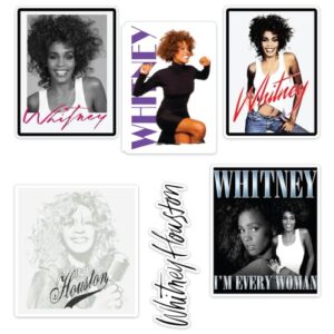 Desert Cactus Adesivo de carro Whitney Houston (T2-1) (Discos de Vinil)