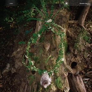 Maggot Mass - Pharmakon (Discos de Vinil)