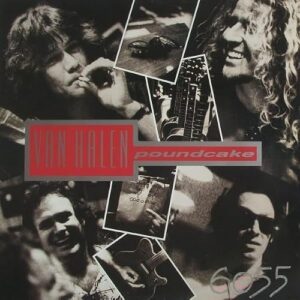 For Unlawful Carnal Knowledge - Van Halen (Discos de Vinil)