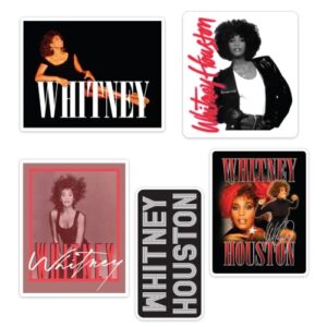 Desert Cactus Adesivo de carro Whitney Houston (T2-2) (Discos de Vinil)
