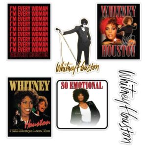 Desert Cactus Adesivo de carro Whitney Houston (T2-4) (Discos de Vinil)