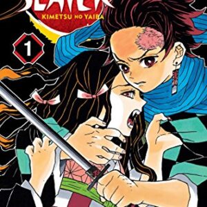 Demon Slayer: Kimetsu No Yaiba, Vol. 1: Volume 1 - Gotouge, Koyoharu (Discos de Vinil)